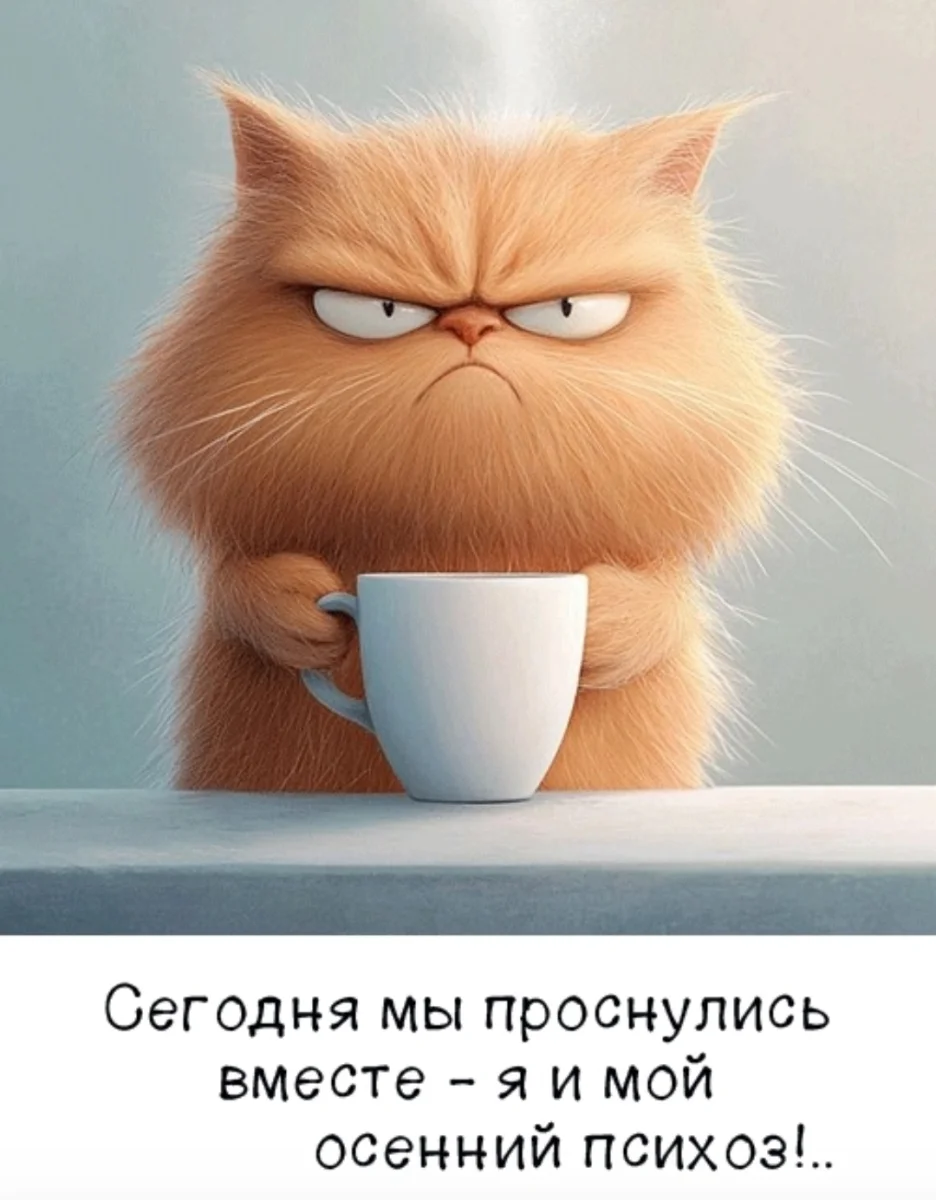 1000232967.webp