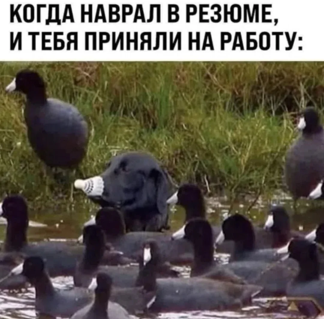 1000232991.webp