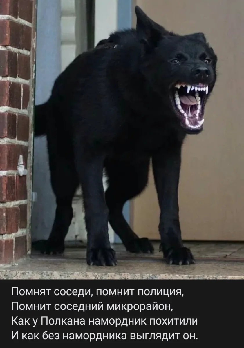 1000233320.webp