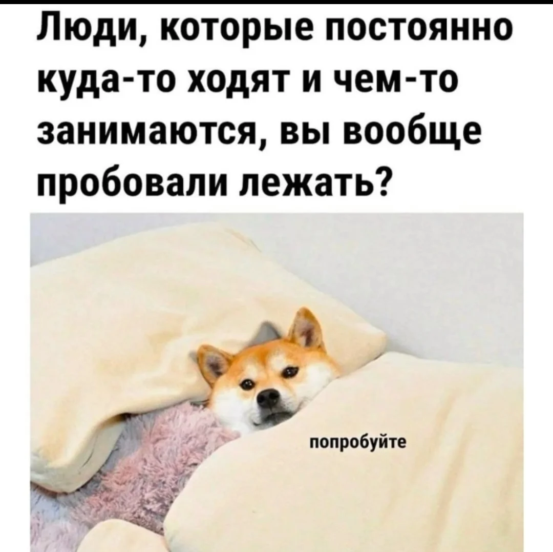 1000237004.webp