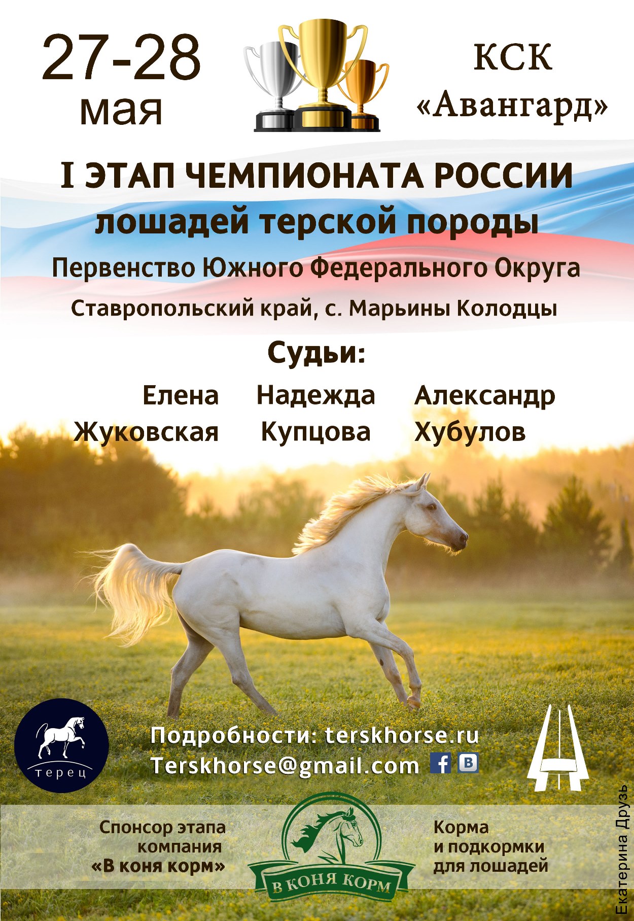 111.jpg