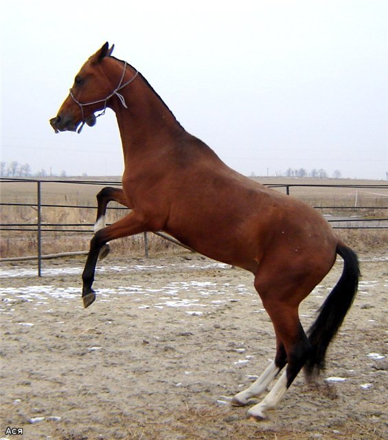 111e3c1efbfd.jpg