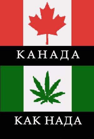 1122674118_ka.jpg