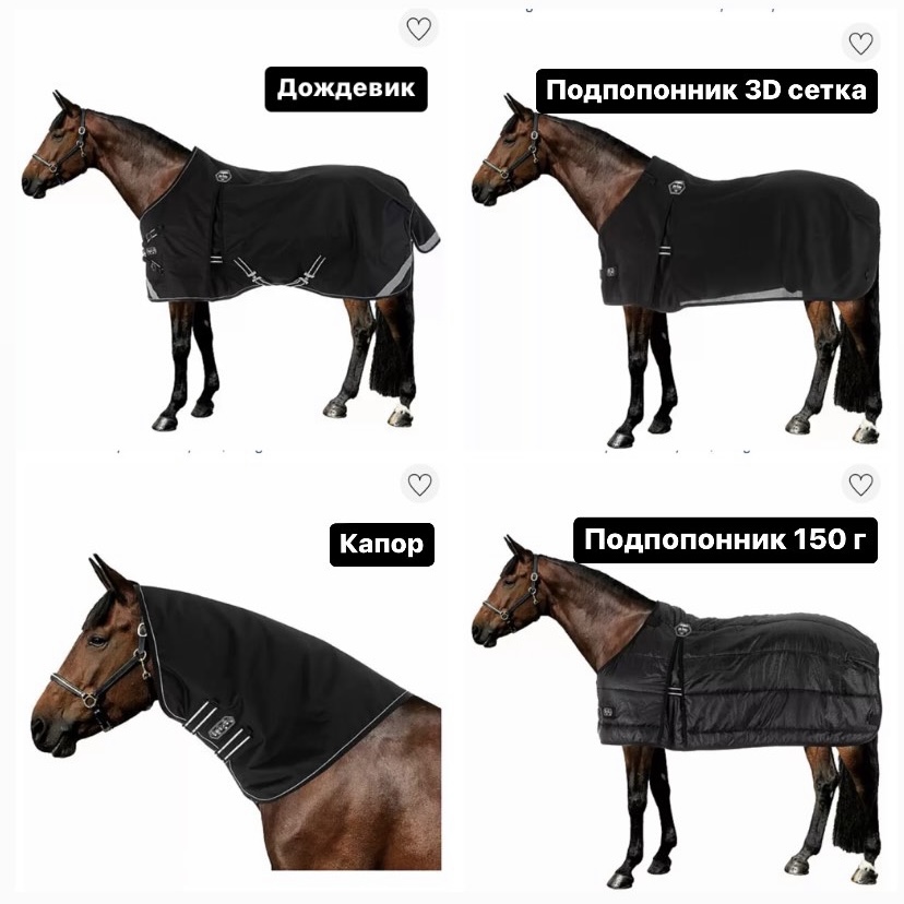11DD65AB-C08B-46C5-8991-8AD13D9D04ED.jpeg
