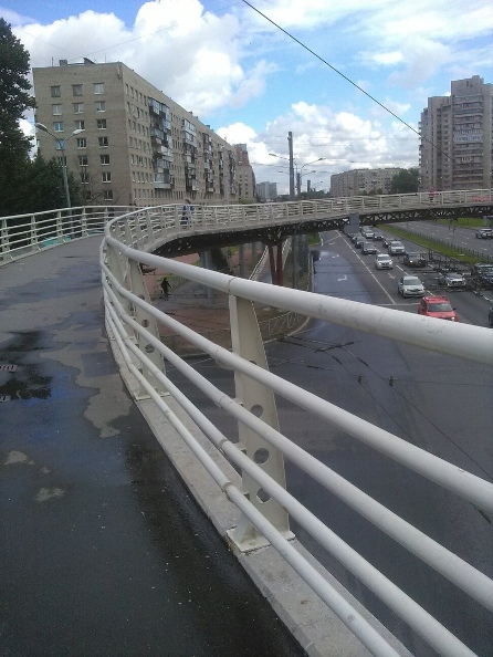 121_креветка.jpg