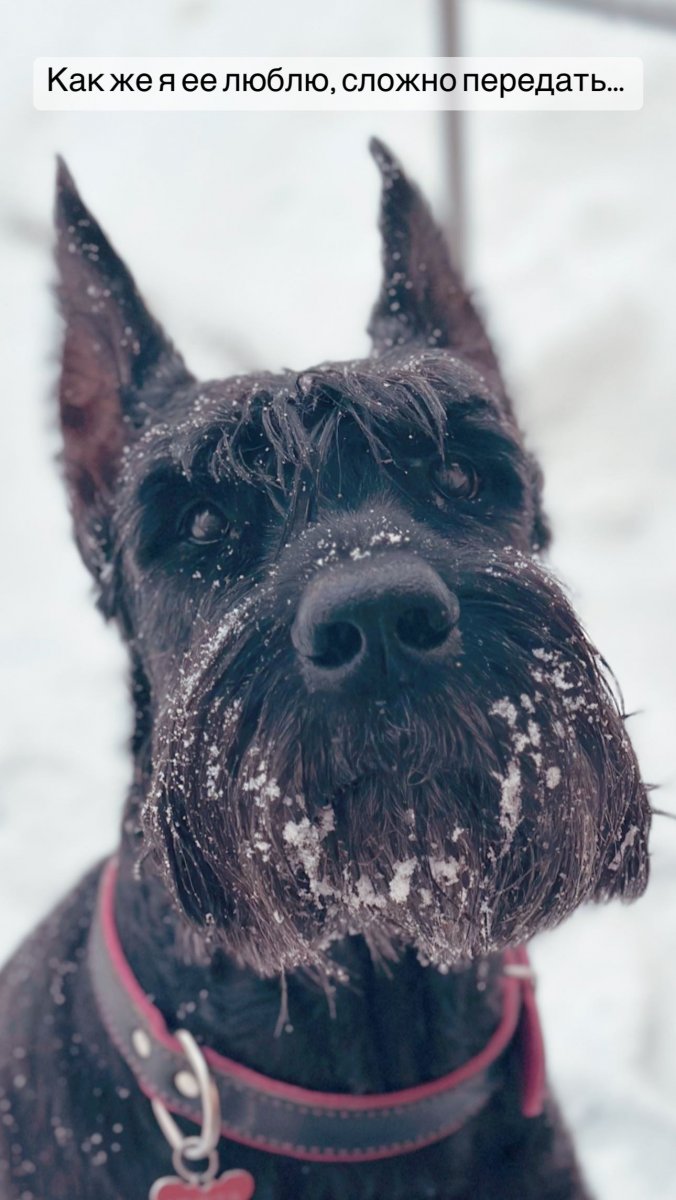 12740537-A75D-4C0C-B5B9-0F0E841B8433.jpeg