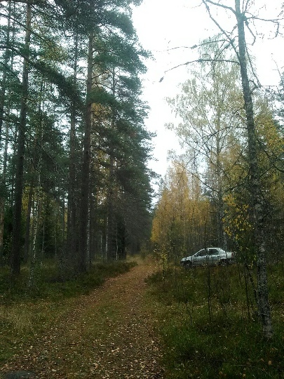 132_осень.jpg