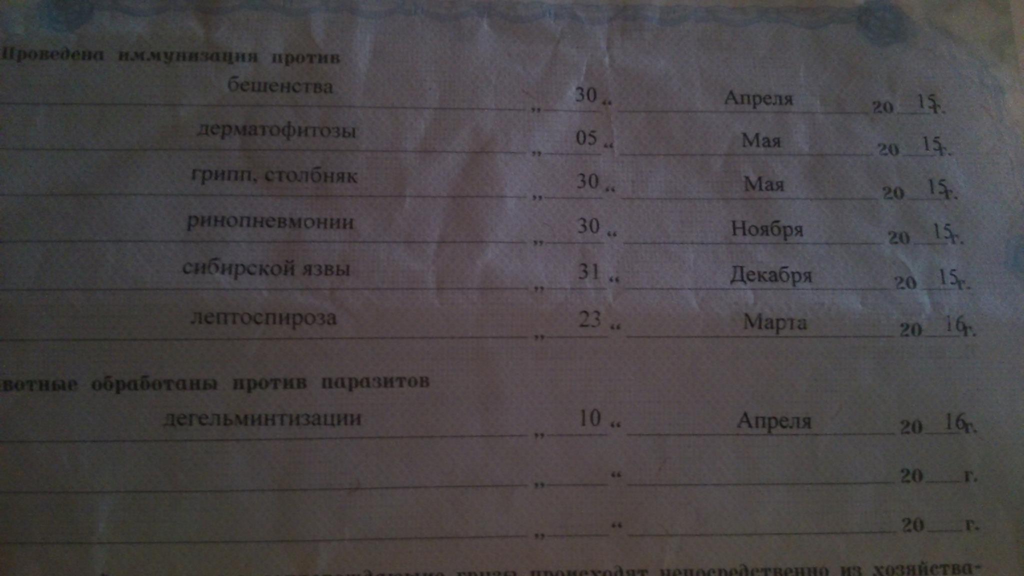 13549013_586197351547407_577114496_o(1).jpg