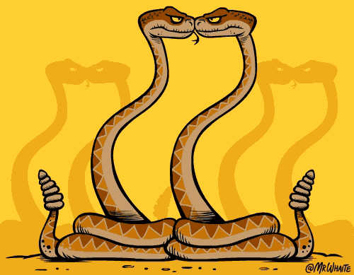 1364717caCCYQiN.gif