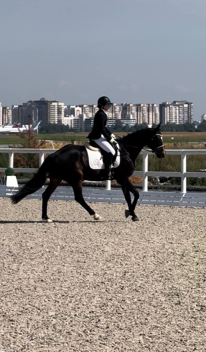 14448D78-2ACD-40F1-B21C-CF636EEA292B.jpeg