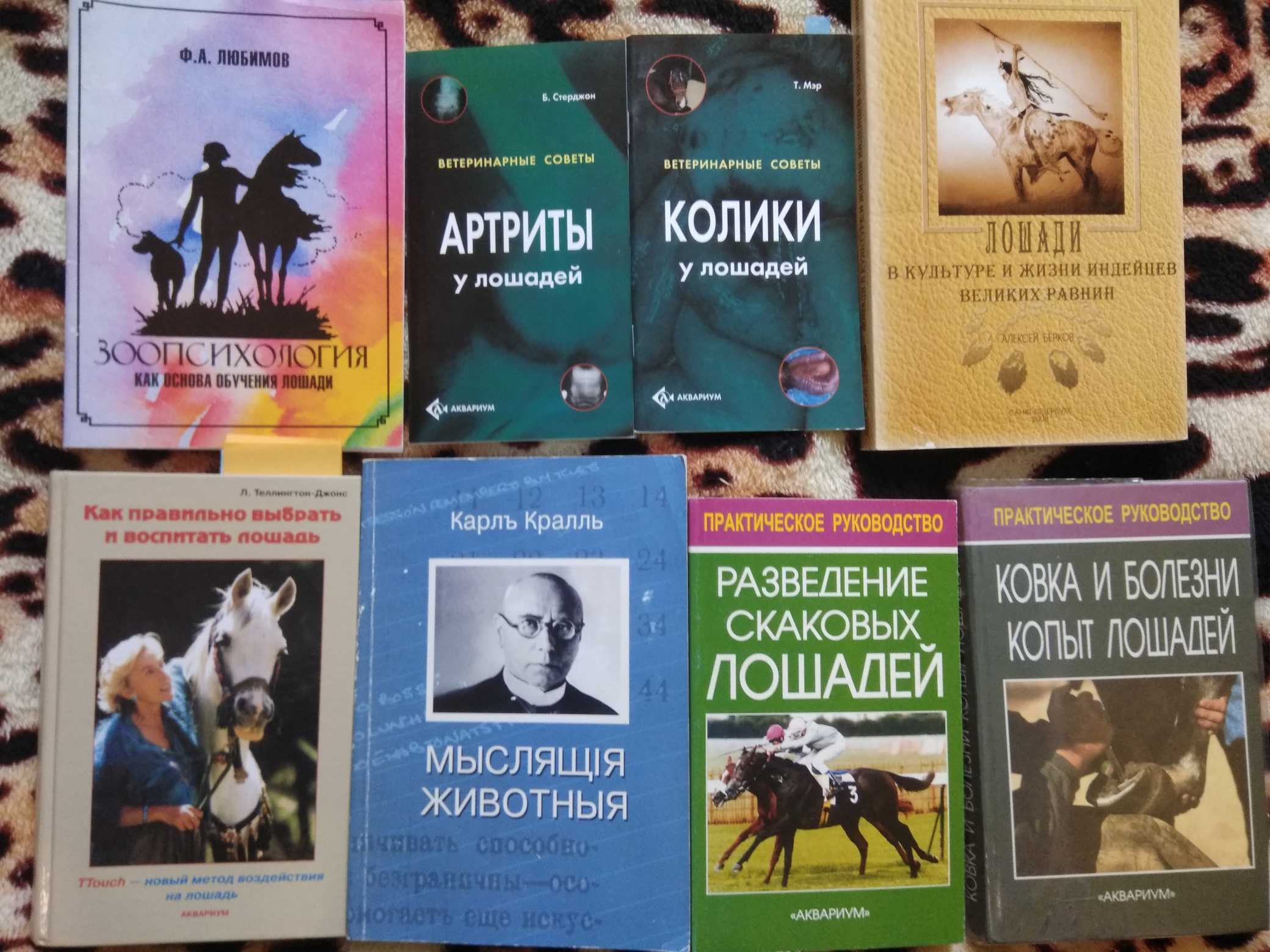 1549876999908545.jpg