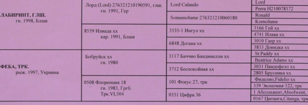 1558877207358.jpg
