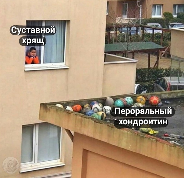 1594460245.jpg