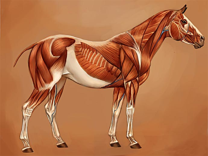 1605890002207.png