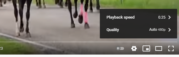 1625699070384.png