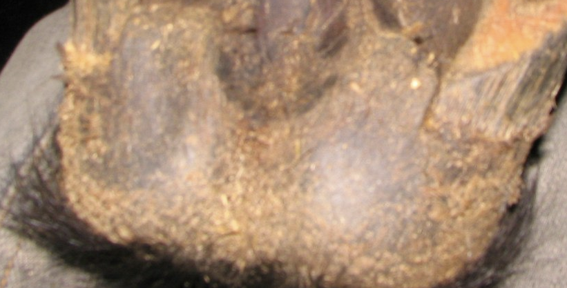 1635770947324.png