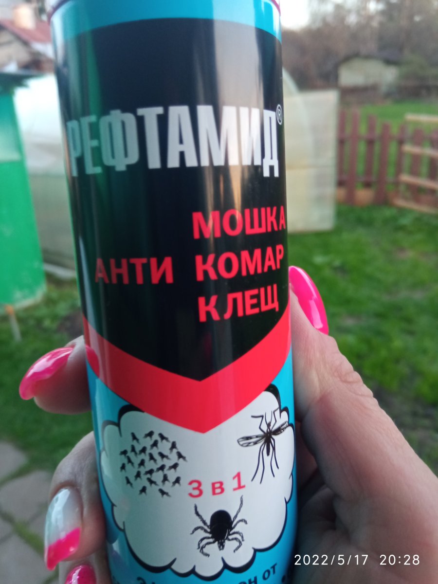 1652808457668..jpg