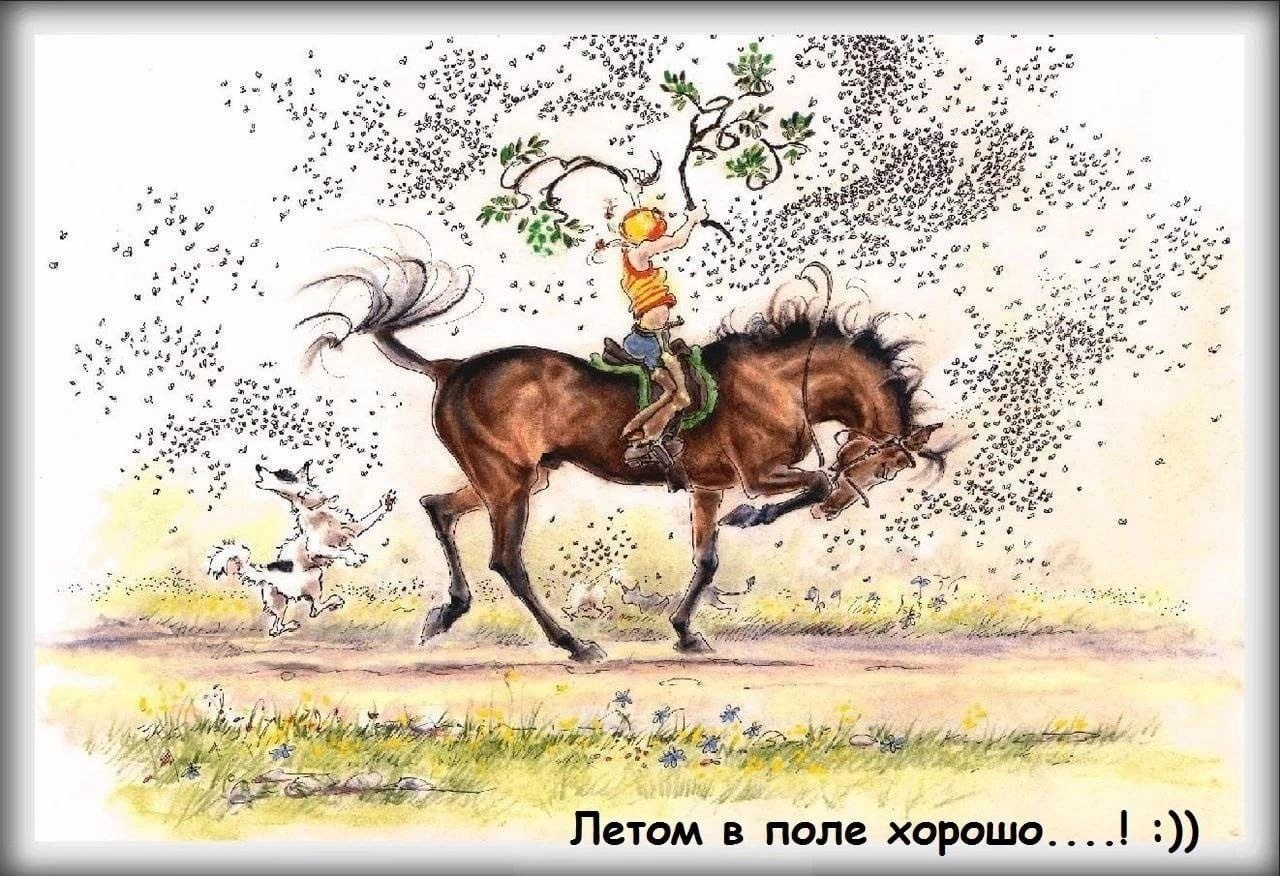 1654994530205.png