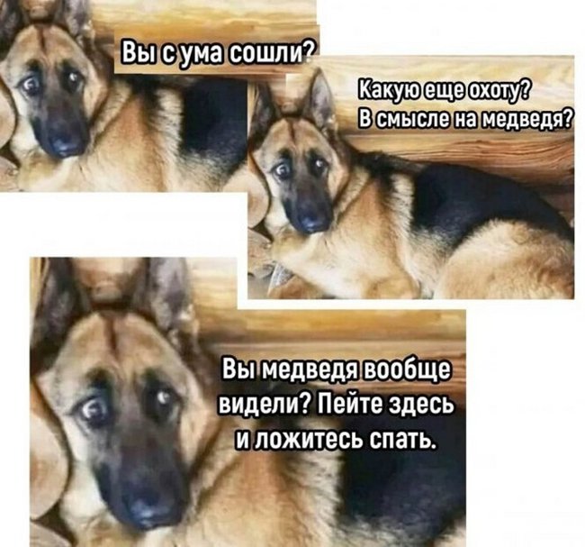 1669704501143559904.jpg
