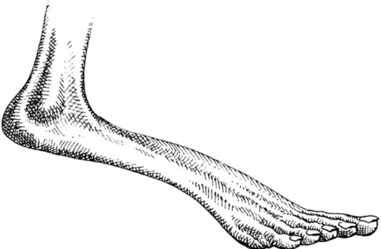 1680518610212.png
