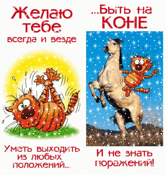 1697099872589.png