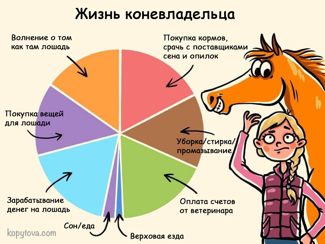 1697889507071.jpeg