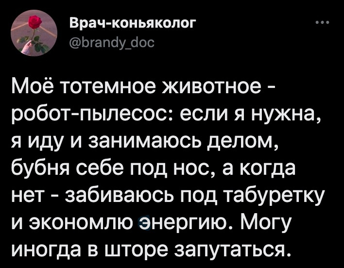 1698247919355.png