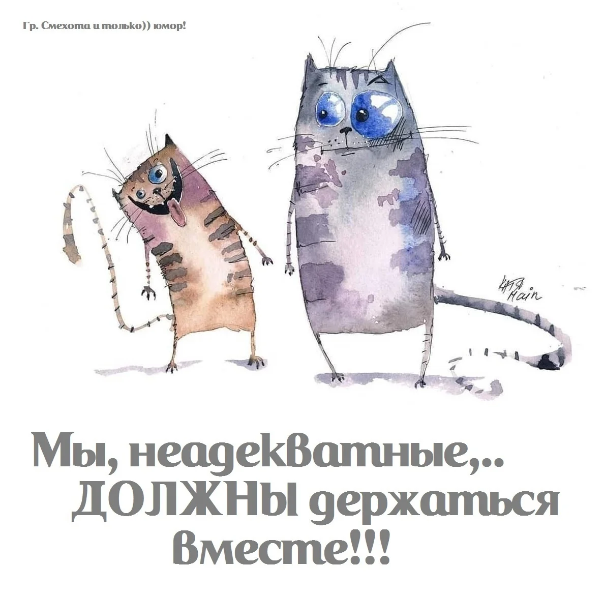 1699377407948.webp