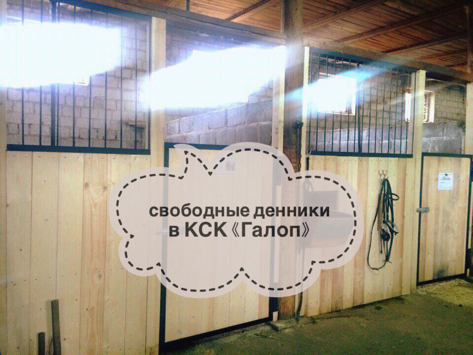 16E5BDF9-8F0A-485A-8201-FFF520DE0F99.jpeg
