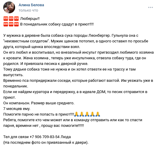 1700903248510.png