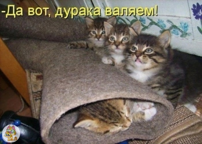1702047289766.png