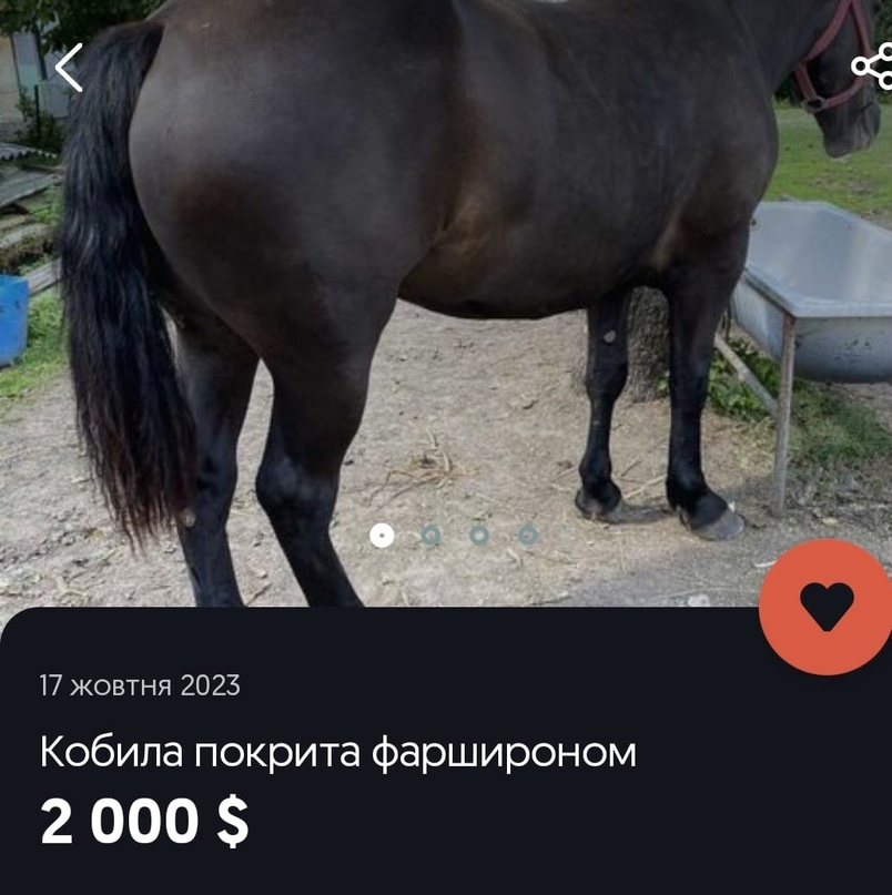 1702624786098.png