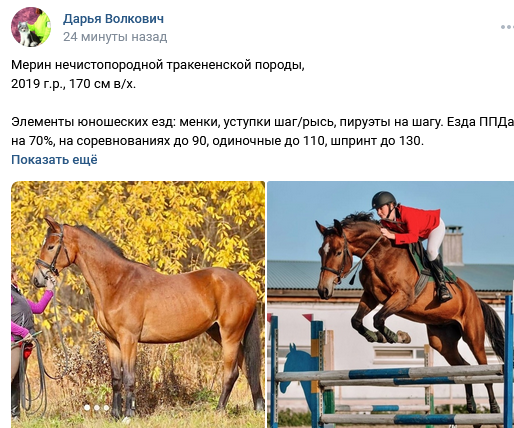 1702899020231.png