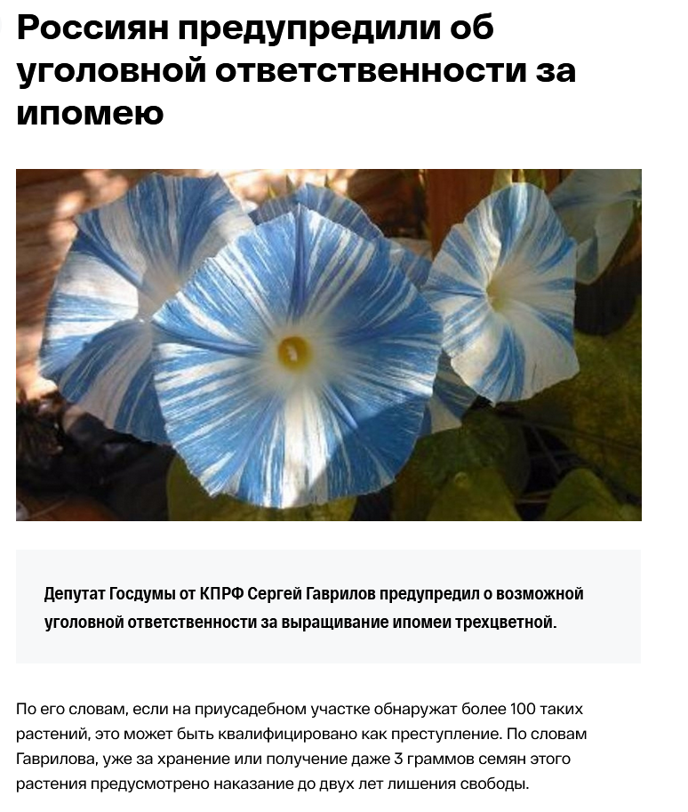 1708325234083.png