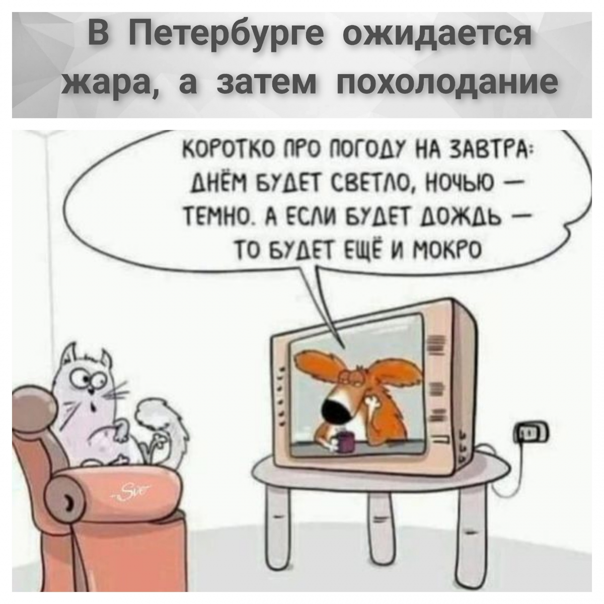 1711826708234.png