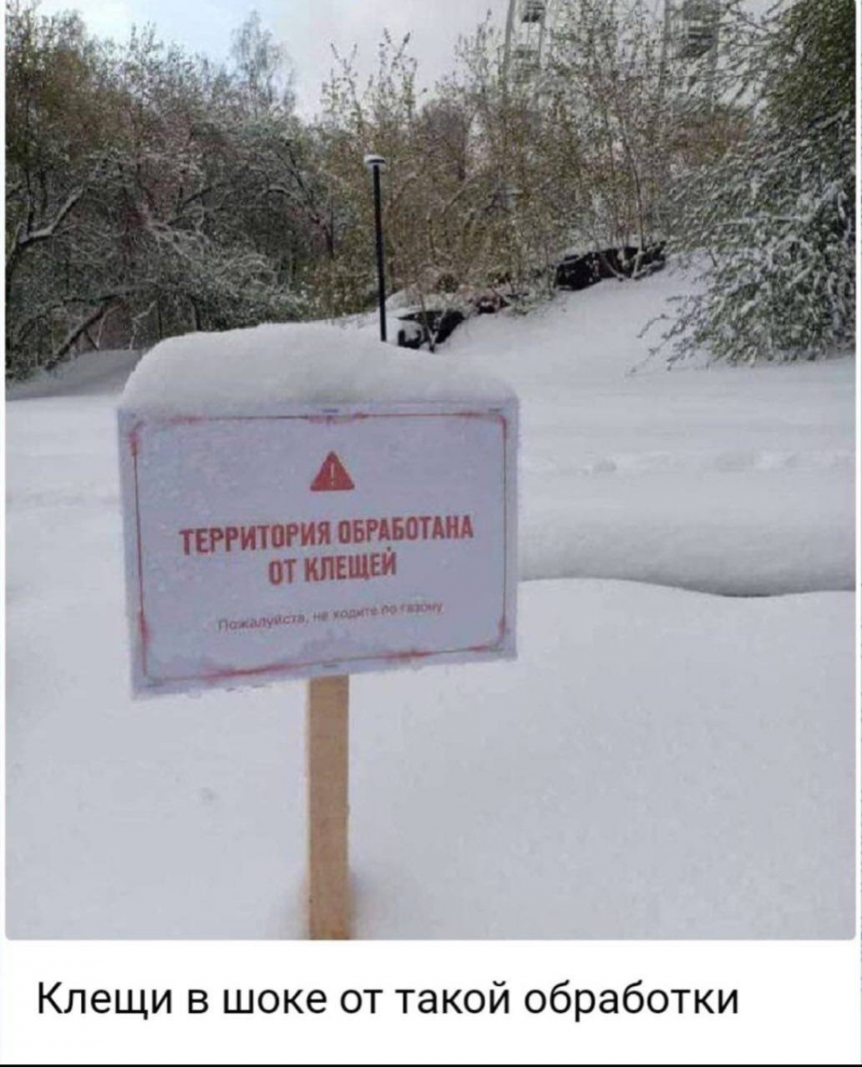 1715105108128.png