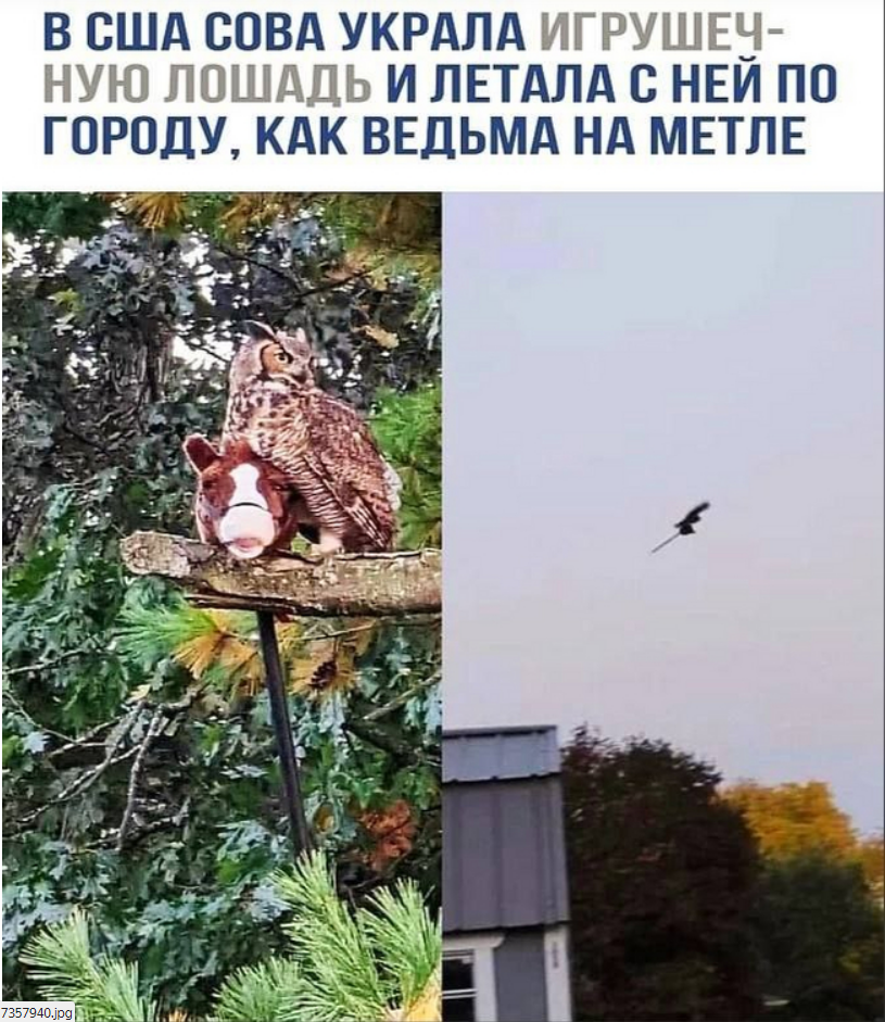 1726774982193.png