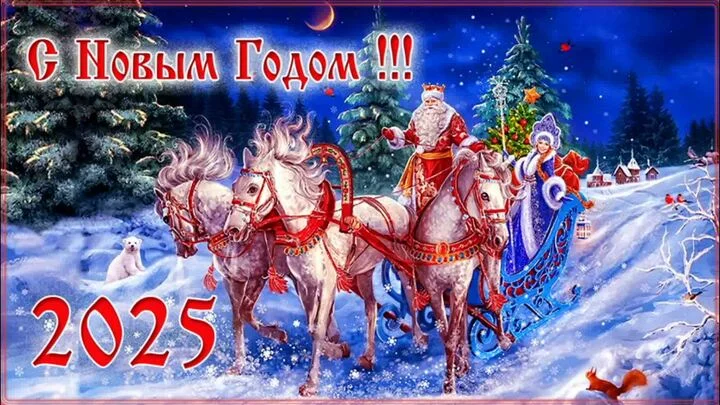 1735660882699.webp