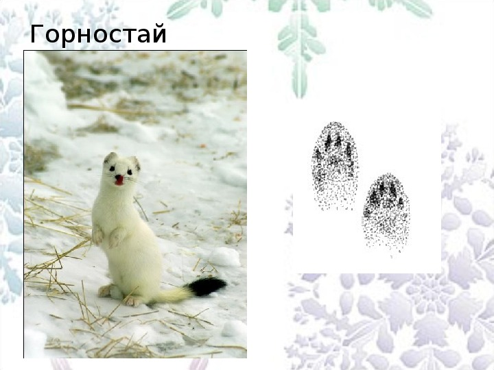 1737453103811.png