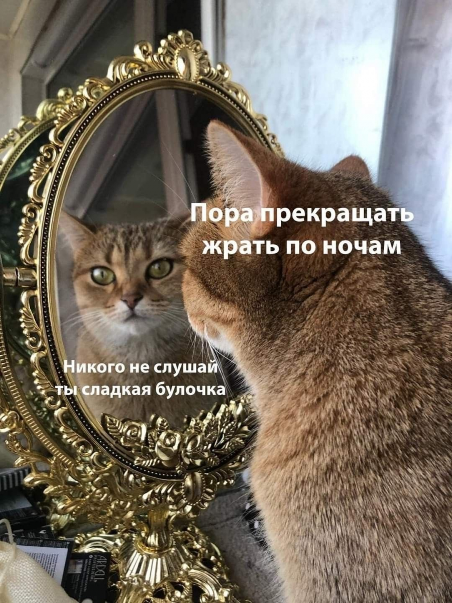 1739104844134.png
