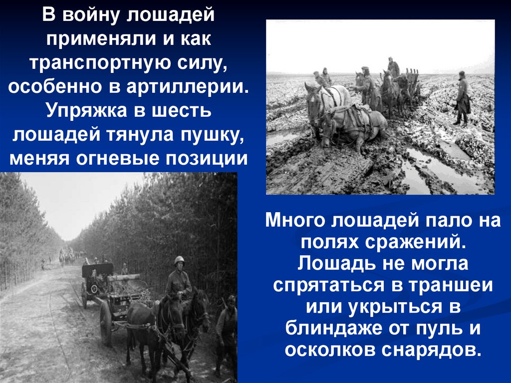 1747047701170.png