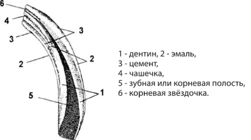 1748164299449.png