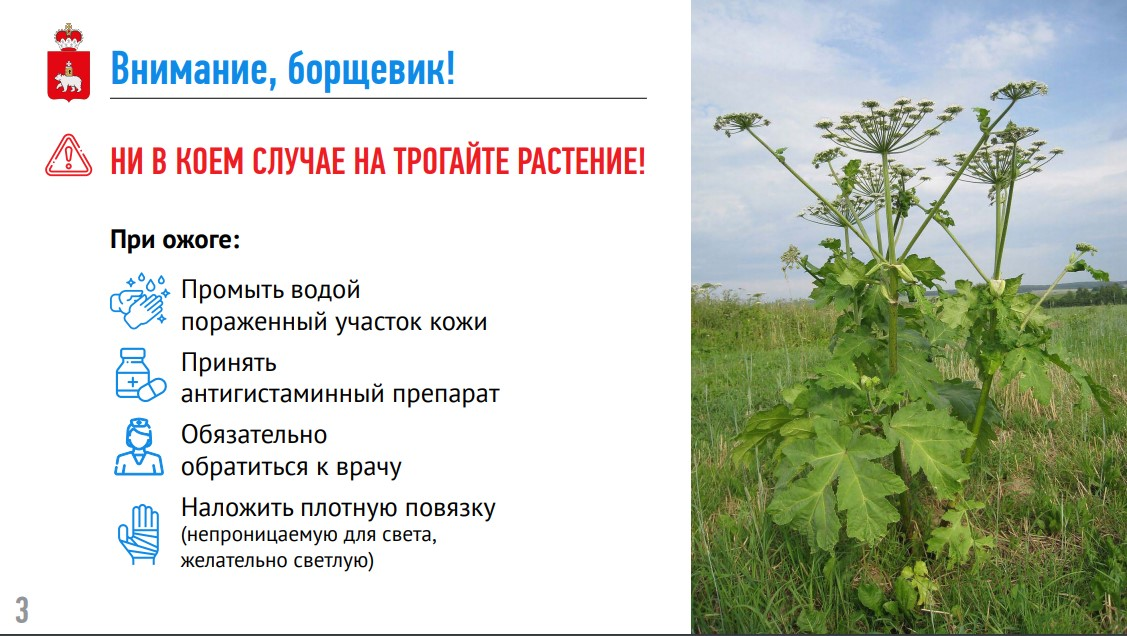1750434848267.png