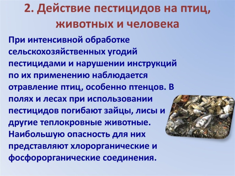 1752433980804.png