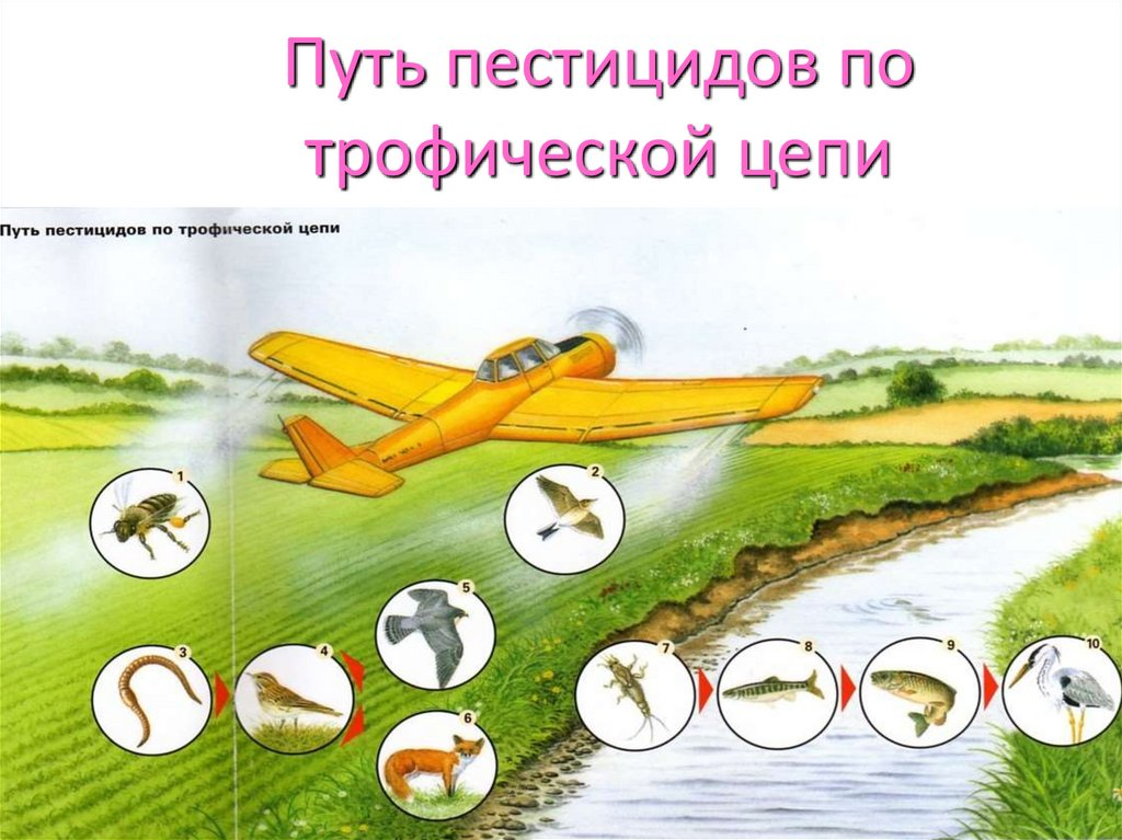 1752434063364.png