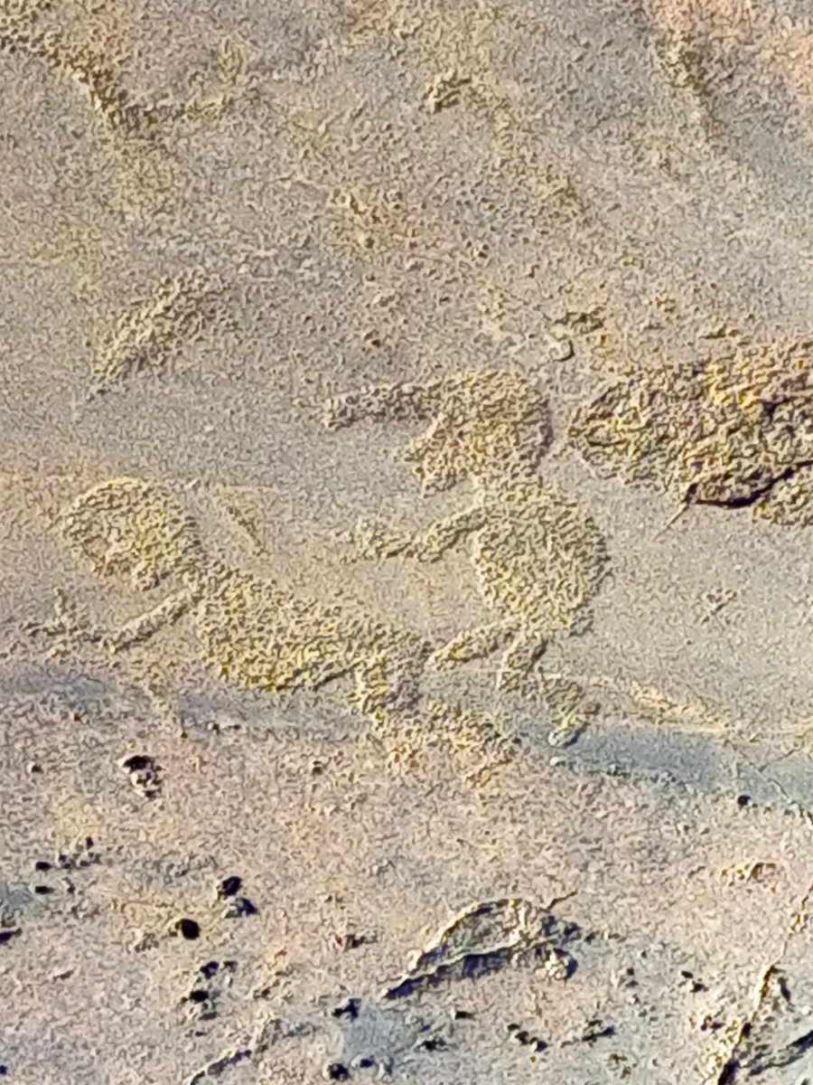 1753815347746.jpg