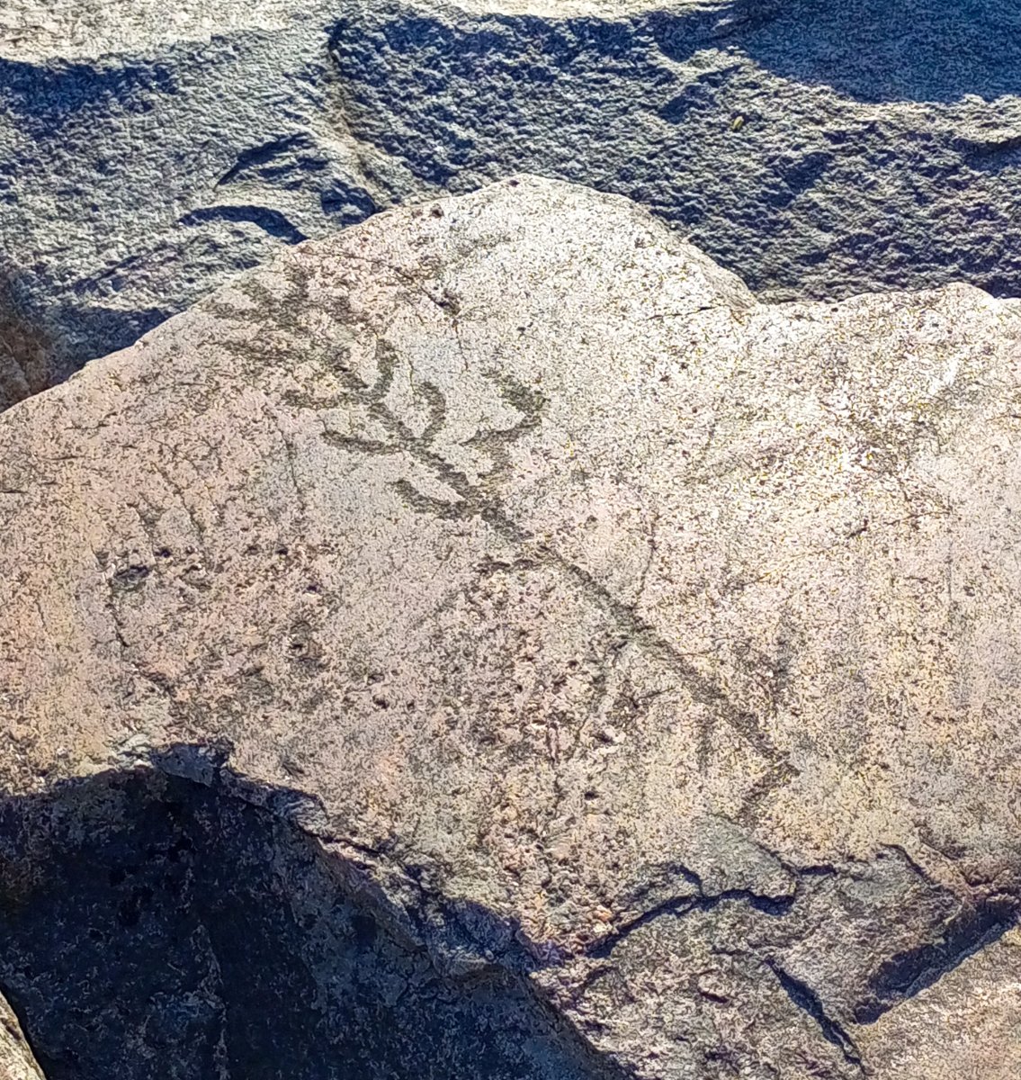1753815420157.jpg