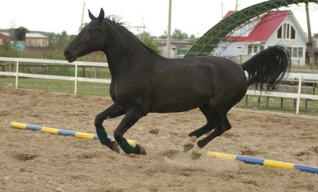1759176510282.jpg