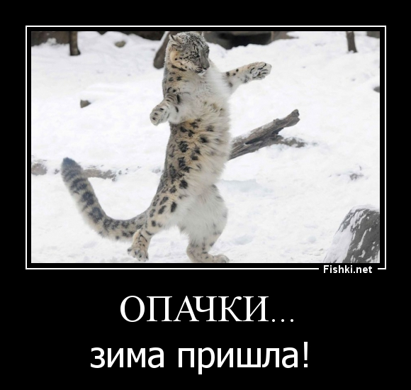 1760986030154.png