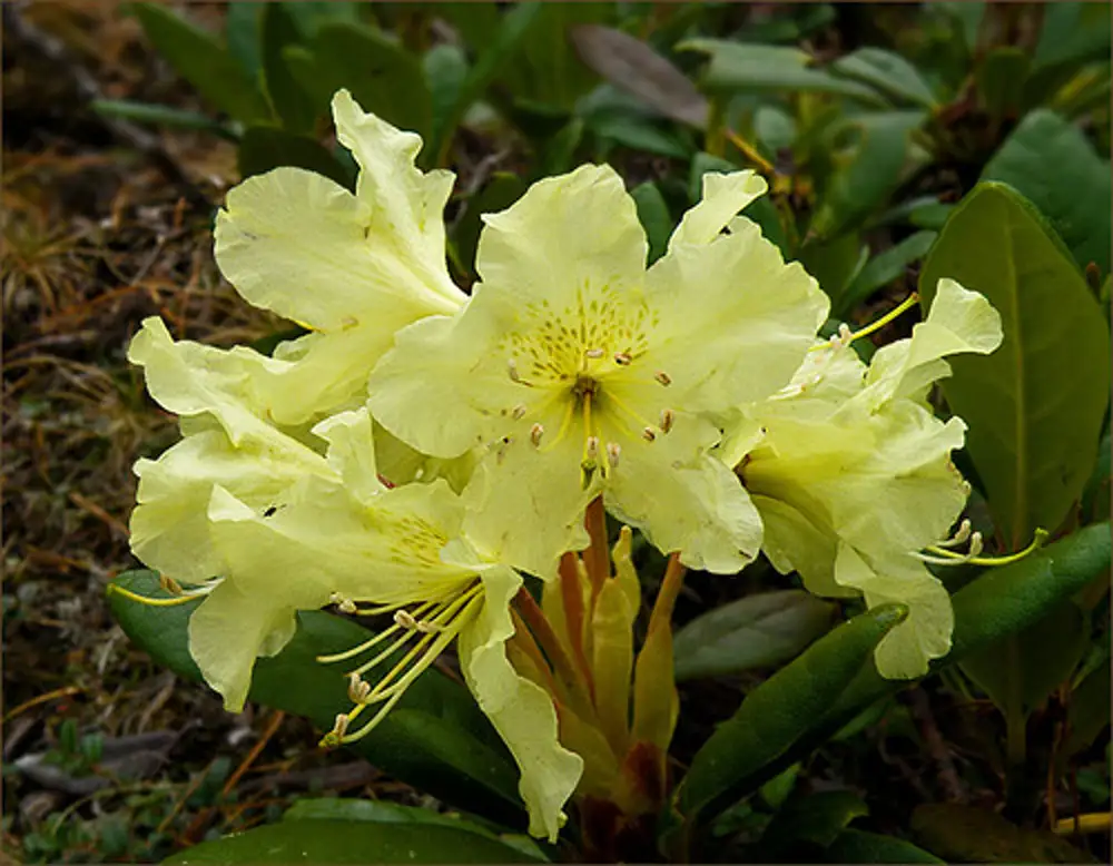 1777791036278.png